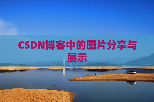 CSDN博客中的图片分享与展示